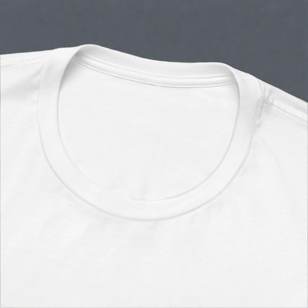 bella canva 3001 crew neck